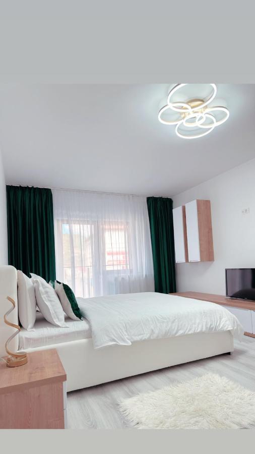 Scandinavia Apartment 1 Piatra Neamt Exterior photo